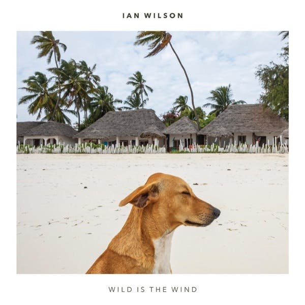 Album cover of Wild is the Wind by Ian Wilson
